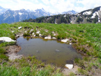 Die Lechtaler Berge von Bach bis Holzgau