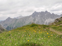 44_Galtseitejoch_und_Grosse_Schlenkerspitze.jpg