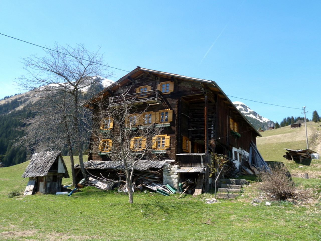  Bauernhaus Schiggen