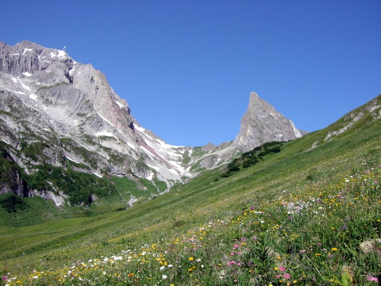  Bergwiese und Roggspitze