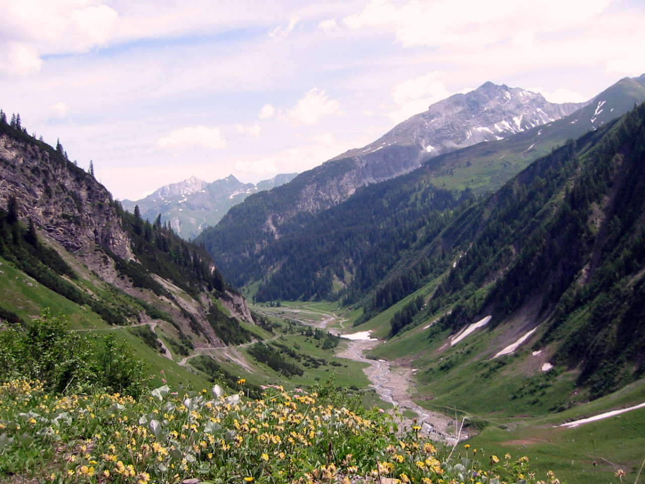  Bodenalpe - Alpe Erlach - Almajurtal