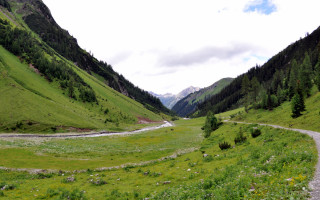  Wanderung zur Alpe Kaisers im Juli 2012 - 13