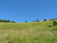 Weg von Holzgau auf die Jöchelspitze