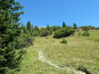 Weg von Holzgau auf die Jöchelspitze