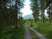 Grünauer Höhenweg