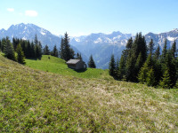 Alpenrosensteig