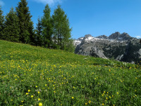 Blick vom Bernhardseck Richtung Hermann-von-Barthhütte