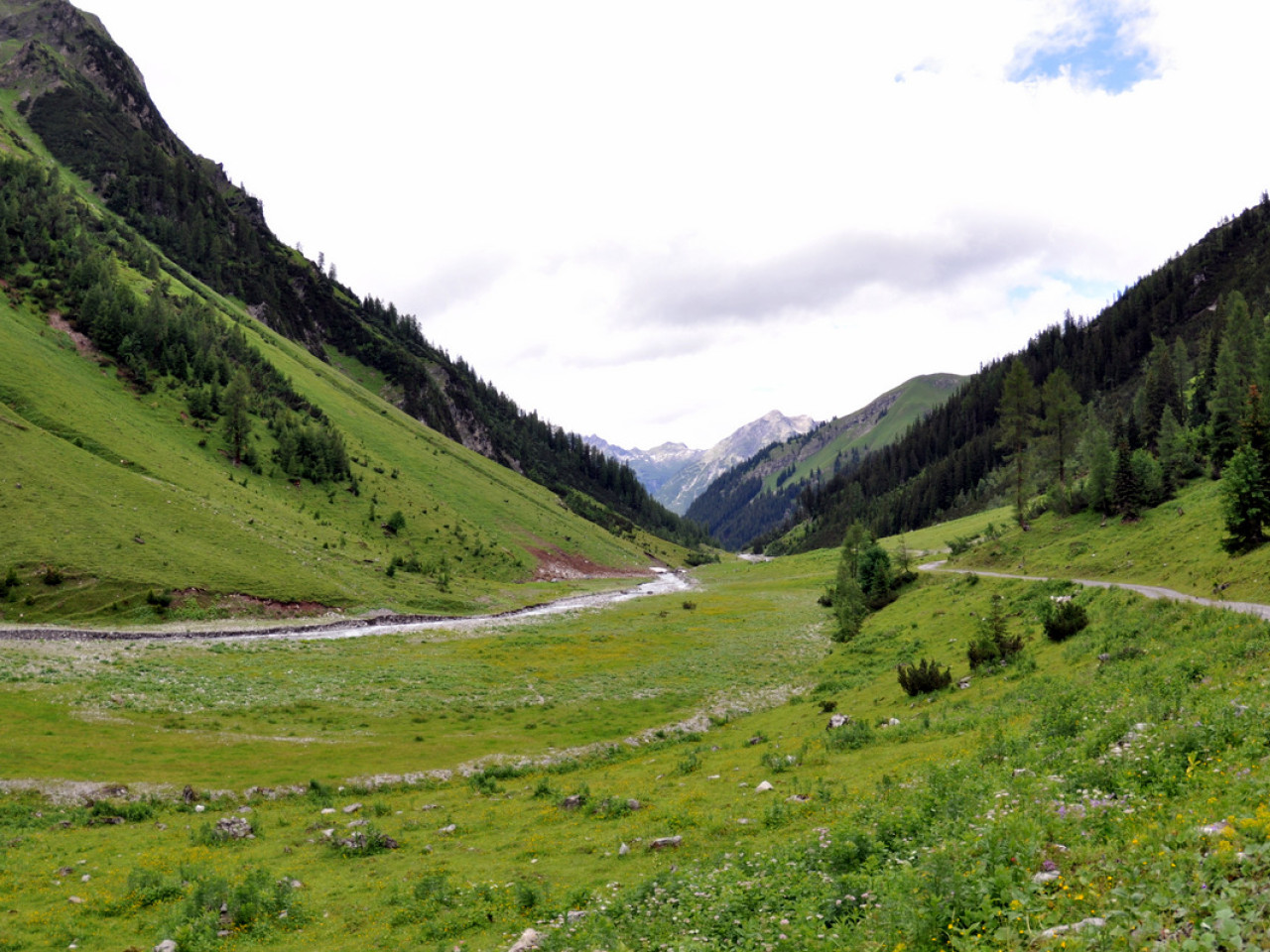  Wanderung zur Alpe Kaisers im Juli 2012 - 13
