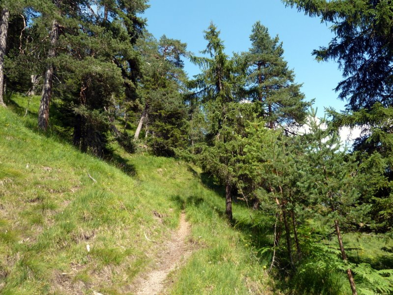  schmaler Weg - Grubachspitze