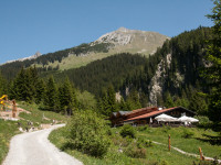 Gibler Alm