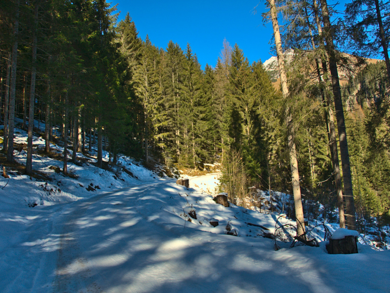  Fahrweg zum Bernhardseck