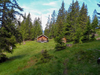 Pleis Jagdhütte 