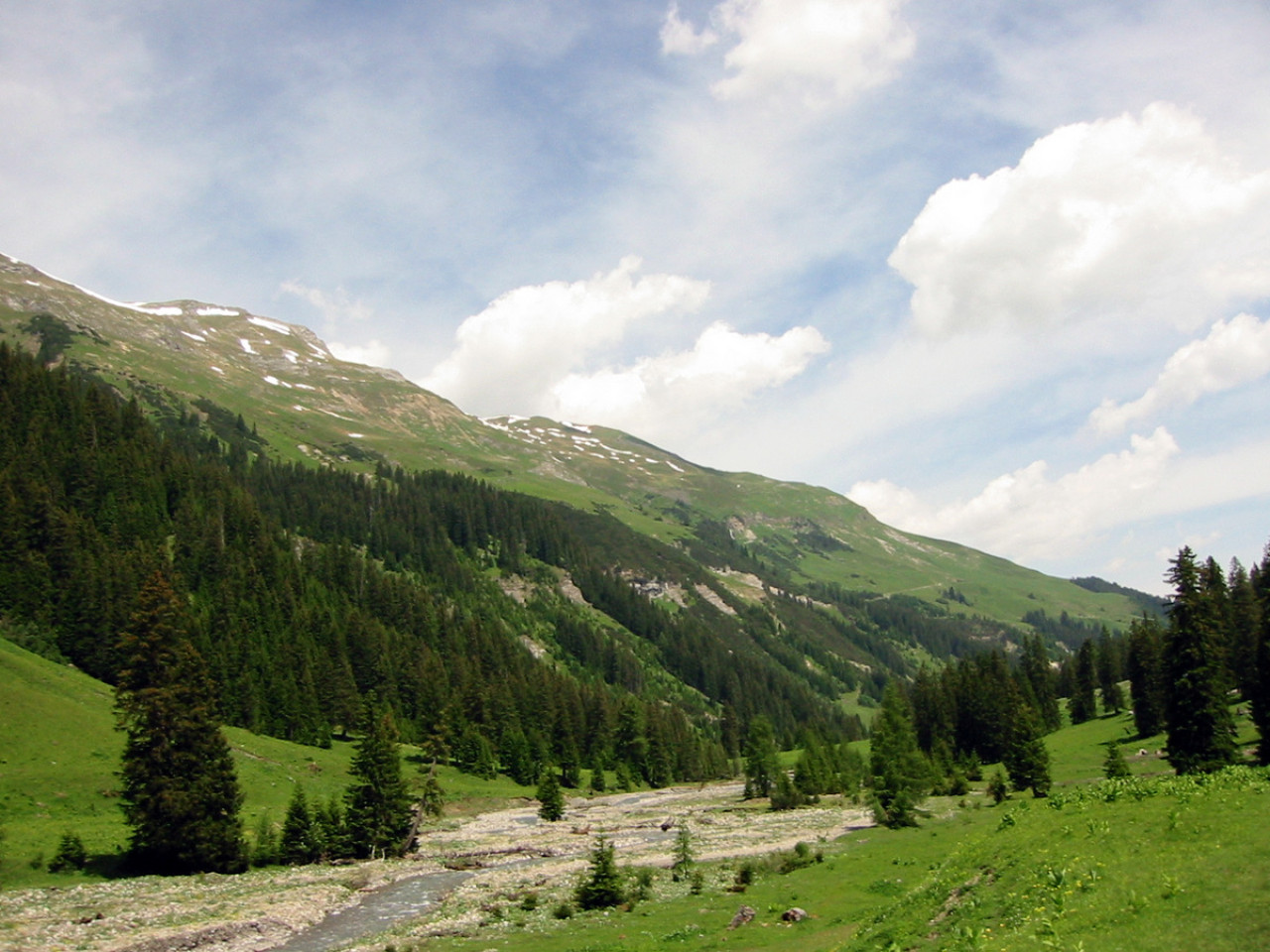  Bodenalpe - Alpe Erlach - Almajurtal