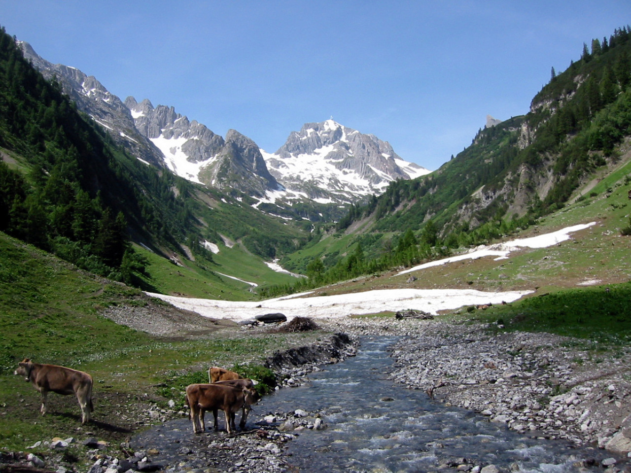  Bodenalpe - Alpe Erlach - Almajurtal