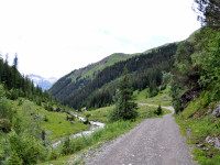 Wanderung_zur_Alpe_Kaisers_im_Juli_2012_-_15.jpg