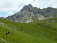 Wildmahdspitze