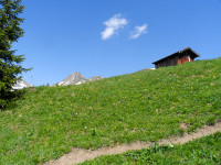 Alpenrosensteig