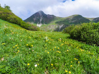 Blick zum Rothorn