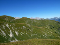 Alpenrosensteig