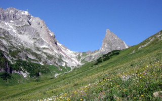  Bergwiese und Roggspitze