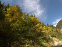 Herbst im Höhenbachtal