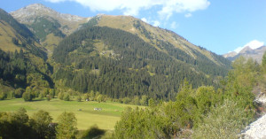  Holzgauer Muttekopf und Allgäuer Alpen