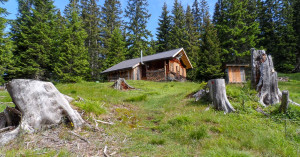  Pleis Jagdhütte, 1690m