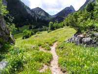 Von der Zargenalpe zum Karjoch