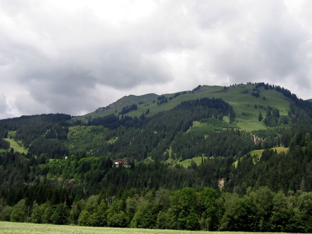  Benglerwald