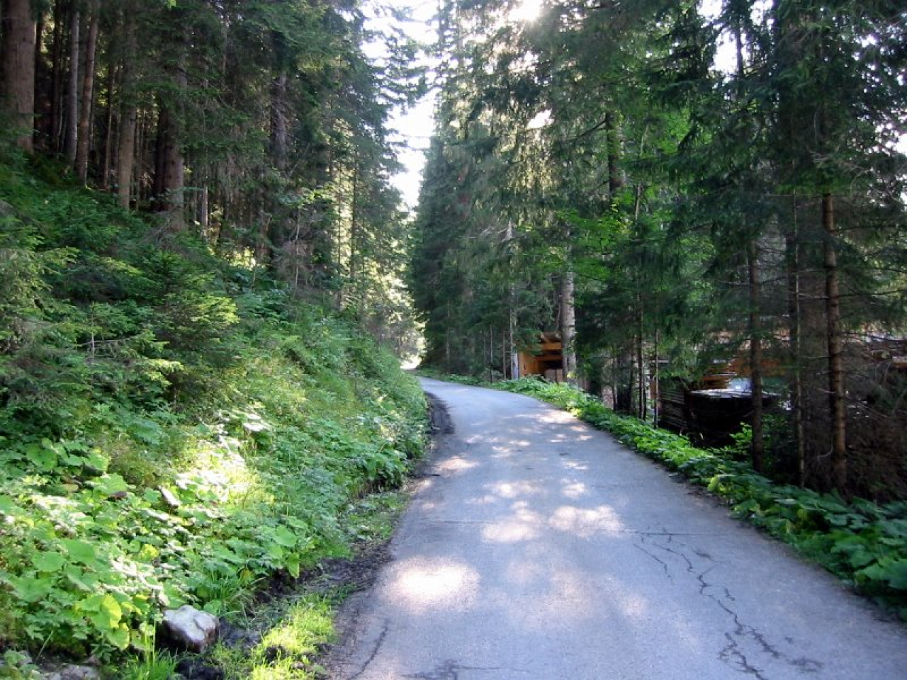  Wanderweg Bockbach Birchetsgump