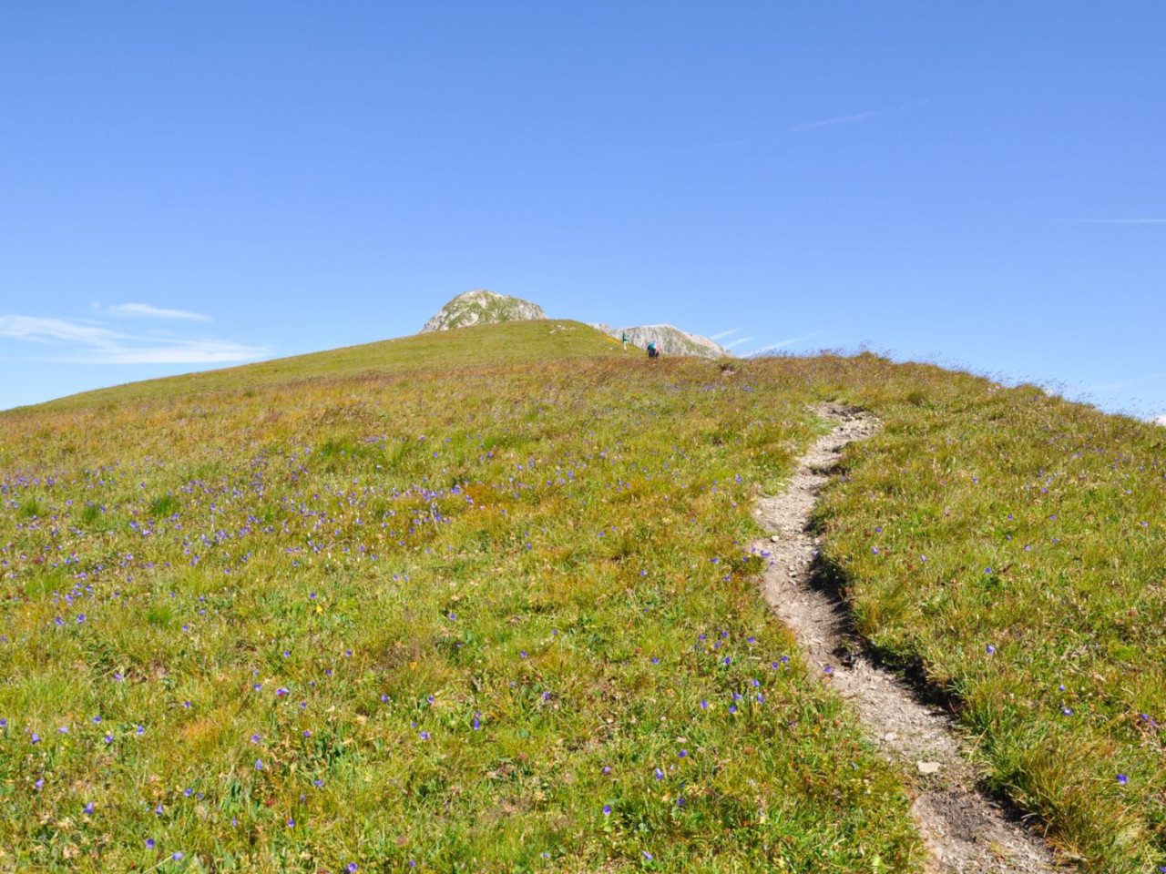  Auf dem Bockbachsattel