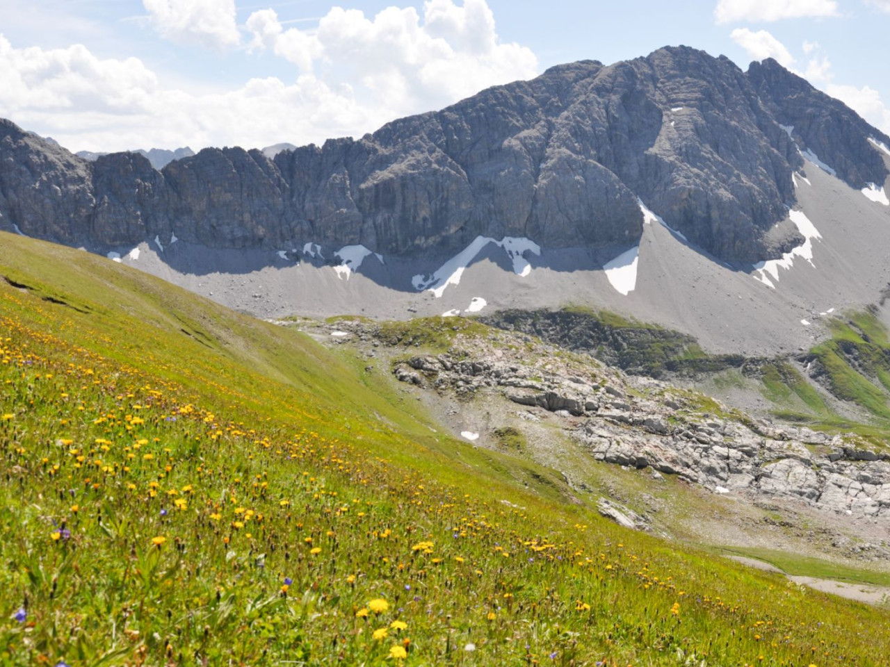  Blick zur Ruefispitze