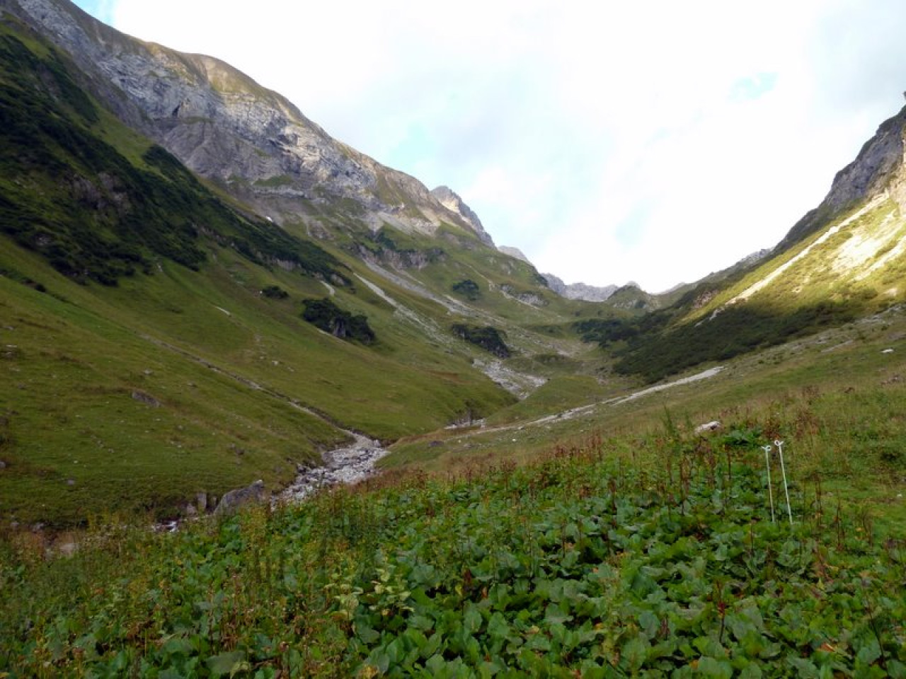  Schochenalptal - Holzgau