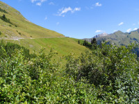 Die Almhütte ist dem Berghang angepasst