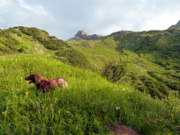 Aiko und Wildmahspitze