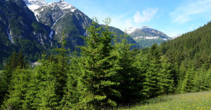  Blick ins Höhenbachtal