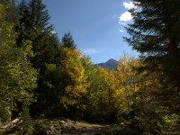 Herbst im Höhenbachtal