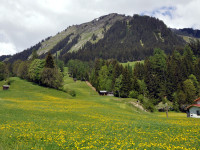 Holzgau im Frühling - Gföllberg