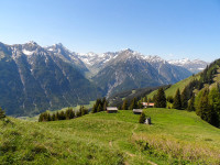 Alpenrosensteig