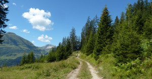 Forstweg Holzgau