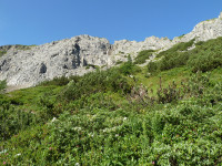 neuer Weg aufs Kaiserjochhaus