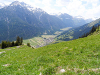 Holzgau