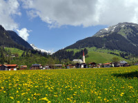 Holzgau im Frühling - Feld