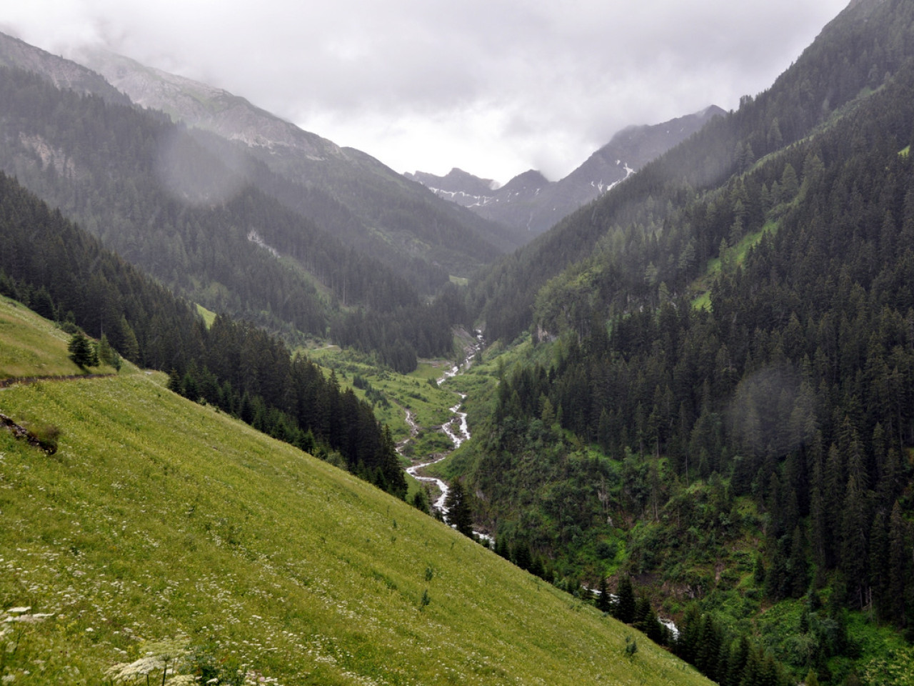  Wanderung zur Alpe Kaisers im Juli 2012 - 1