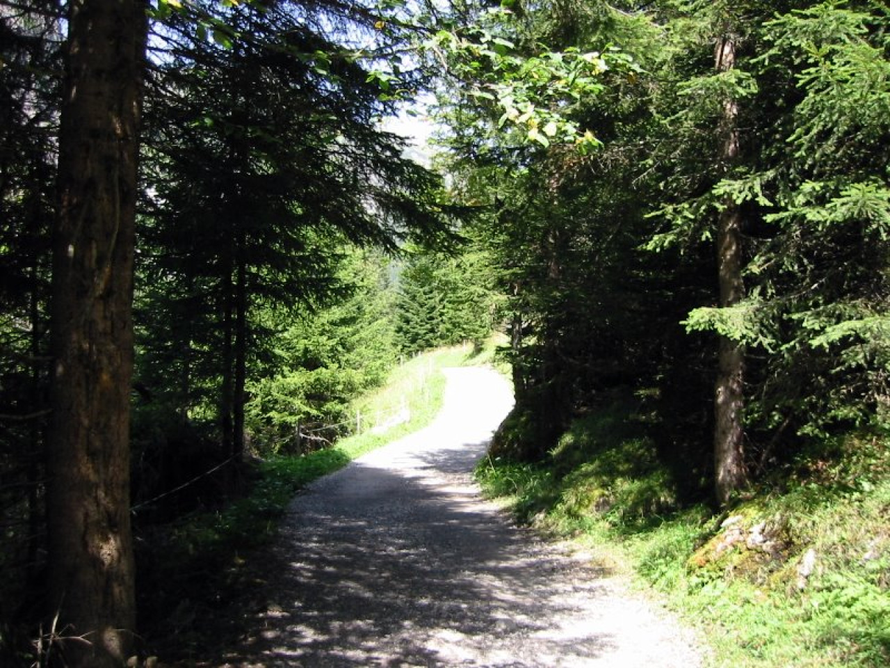  Auf dem Weg zur Roßgumpenalm