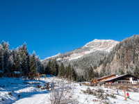 Gibler Alm