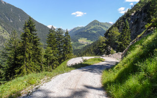  Der steile Forstweg bis zum Stausee
