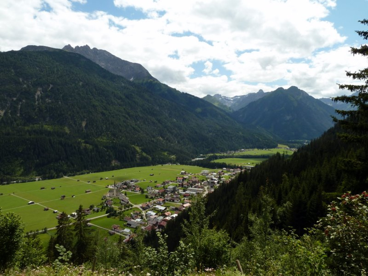  Elbigenalp