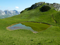 Biberkopf - Allgäuer Alpen