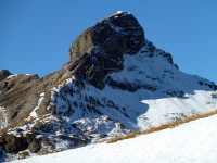 Wildmahdspitze